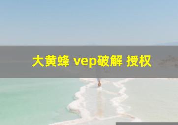 大黄蜂 vep破解 授权